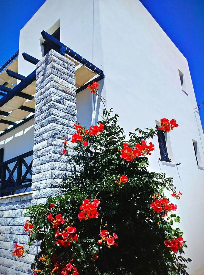 Glafki Studios Syros Mégas Yialós-Nítes Exterior foto